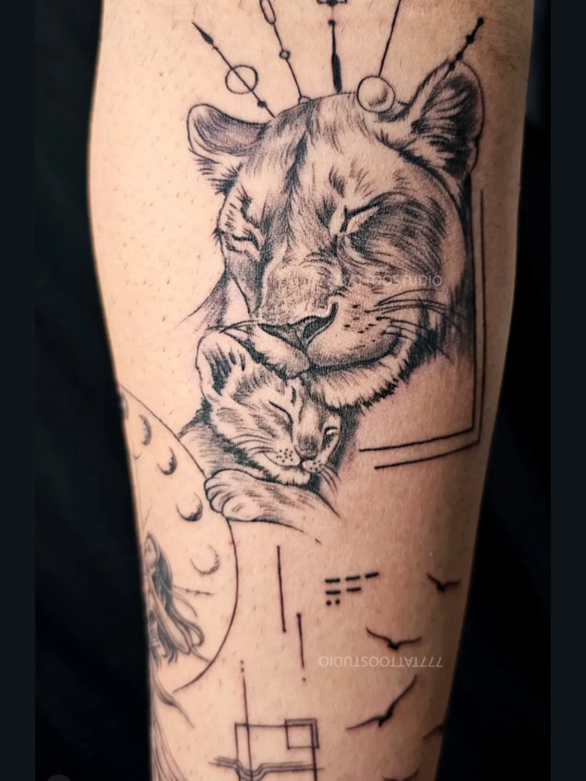 Wild Spirit